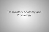 Respiratory anatomy and physiology faculty version