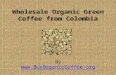 Wholesale Organic Green Coffee from Colombia