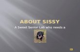 About Sissy