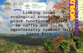 Session 5.1 Linking local ecological knowledge to plant functional traits in coffee and cocoa agroforestry systems in Costa Rica
