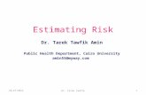 Estimating risk