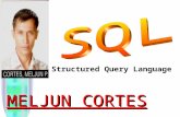 MELJUN CORTES Structured Query Language Updated