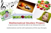 Intro   mathematical studies ia