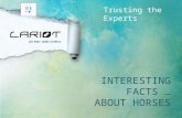 Interesting Facts About Horses by Lariot Europe