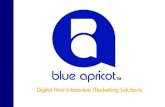 Blue Apricot Tech Brochure Sept 11