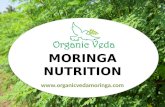 Moringa nutritional benefits