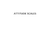 Attitude scales