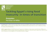 Tackling Egypt’s rising food insecurity in times of transition