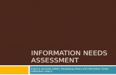 Information needs assessment