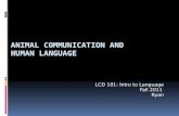 Animal communication and human language