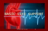 basic life support 2013