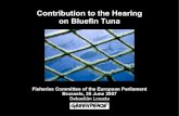 EU Parliament Hearing on Bluefin Tuna