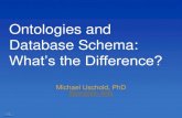 Ontologies and DB Schema: What's the Difference?