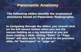 Self study-pan-anatomy