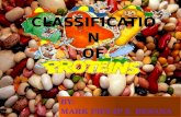 Classification and properties of protein