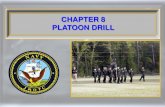 Platoon Drill