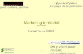 Marketing Territorial Introduction Serec Collab 090205