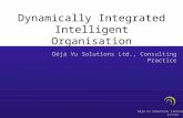 Dynamically integrated intelligent organisation