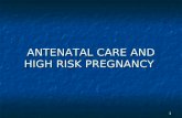 Antenatal care and high risk pregnancy
