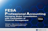 FESA Financial & Professional Accounting