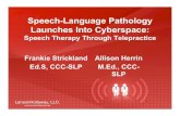 Speech therapy launches_into_cyberspace-fin2