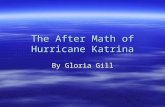 The  After  Math Of  Hurricane  Katrina