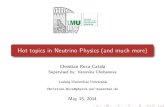 Hot topics in actual neutrino physics - Seminar in Particle Physics at LMU