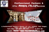 Professional PAckers And Movers Delhi -