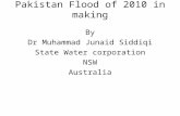 Pakistan  Floods Of 2010 In Making