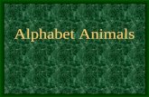 C:\Documents And Settings\Win Xp\My Documents\Aaaa\Slide Show\Animal Alphabet