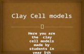 Clay cell models5