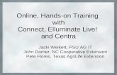 Online Hands On Training With Connect Ellumin