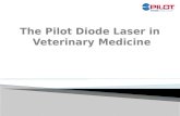 Pilot Laser in Veterinary Medicine - CAO Group