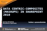 Data Centric Composites and mashups In SharePoint 2010