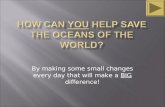 How Can You Help Save The Oceans
