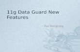 Data Guard New Features