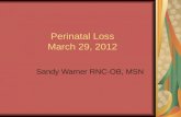 Perinatal loss 2012