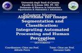 Phd Thesis Dissertation (Italian)