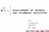 Development of primary  and secondary dentition
