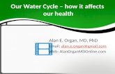 Our Water Cycle - How it affects our health