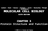 Molecular Cell Biology Lodish 6th.ppt - Chapter 3   protein structure and function