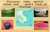 Fieldtrip to Halong Bay pearl Farm and Ruby mines in Vietnam