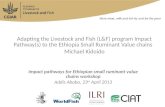 Adapting the Livestock and Fish (L&F) program Impact Pathway(s) to the Ethiopia Small Ruminant Value chains
