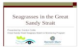 Seagrass Watch