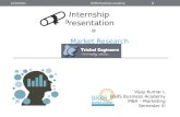 Internship Presentation - BSBS