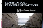 Sepsis in Post Transplant Patients