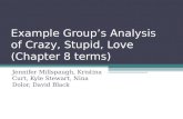 Example group’s analysis of crazy, stupid, love