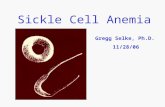 Sickle Cell.ppt