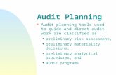 Audit planning and risk assessment