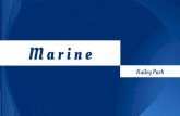 Kailey's Marine Ecosystem Presentation